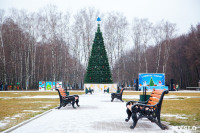 Открытие елки на площади искусств. 19.12.2014, Фото: 2