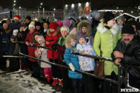 Открытие главной ёлки на площади Ленина, Фото: 18