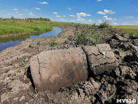 В этом году в Тульской области начали расчистку русел еще трех рек, Фото: 4