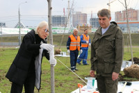 Надежда Школкина и Дмитрий Миляев высадили клены возле Ледового дворца, Фото: 10