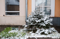 Мартовский снег в Туле, Фото: 123