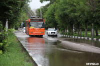 Потоп в Заречье 30 июня 2016, Фото: 22