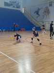 Волейбольная «Тулица» готовится к сезону в Подмосковье, Фото: 7