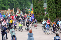 Большой велопарад в Туле, Фото: 5