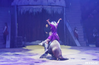 «Чудеса Новогодней Ёлки» ждут вас в Тульском цирке, Фото: 97