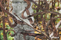 Всехсвятское кладбище, Фото: 224