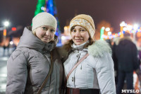 Туляки отметили Старый Новый год ледовым шоу, Фото: 49