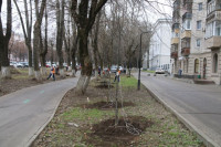 Вдоль веломаршрута «Лев Толстой» начали высаживать липы, Фото: 10