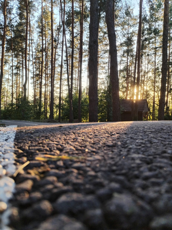 Дорога приключений