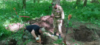 В лесу под Белёвом поисковики обнаружили останки двух красноармейцев, Фото: 6