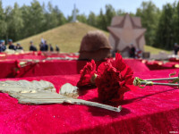 Перезахоронение останков бойцов на Кургане Бессмертия в Белеве 2023, Фото: 3