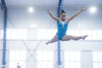 Всероссийские соревнования по спортивной гимнастике, Фото: 24