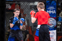 В «Тула-Арене» состоялись областные соревнования по ММА, Фото: 66