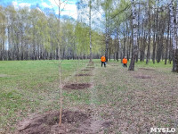ЕВРАЗ посадил в Пролетарском парке 100 деревьев, Фото: 54
