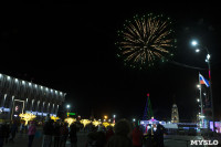 В Туле завершились новогодние гуляния, Фото: 38