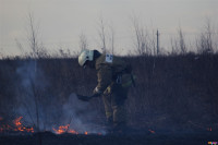 Сразу в нескольких районах Тульской области загорелись поля, Фото: 6