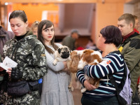 Выставка собак в ДК "Косогорец", Фото: 36