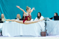Тула провела крупный турнир по художественной гимнастике, Фото: 120