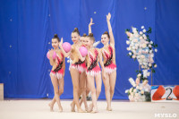 Соревнования по художественной гимнастике на призы благотворительного фонда «Земляки», Фото: 59