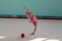 Каратэ, гимнастика и другой спорт для детей в Туле, Фото: 6