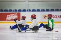 Детская следж-хоккейная команда "Тропик", Фото: 47