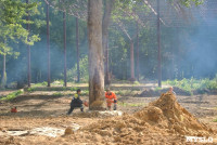 В Туле проводят работы по благоустройству зон отдыха. 26 июля 2014 год, Фото: 12