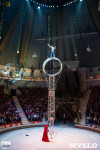 Программа Тропик-шоу в Тульском цирке, Фото: 20