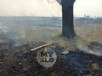 В Туле загорелось поле, Фото: 20