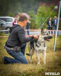 Международная выставка собак, Барсучок. 5.09.2015, Фото: 16