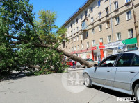 Упавшее дерево перекрыло ул. Болдина, Фото: 2