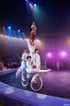 Выпускной бал в Тульском цирке, Фото: 80
