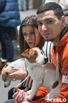 Выставка собак в Туле 26.01, Фото: 39