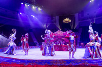 Цирковое шоу 5 континентов , Фото: 74