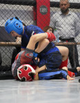 В Новомосковске прошел Чемпионат и Первенство Тульской области по ММА, Фото: 205