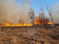 В Федоровке огонь с горящего поля едва не перекинулся на дома, Фото: 6