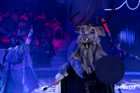 Цирковое шоу Жар птица, Фото: 33