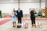 Сиба-ину, шпицы и алабаи: в Туле состоялась выставка собак, Фото: 57