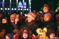 закрытие проекта Тула новогодняя столица России, Фото: 43