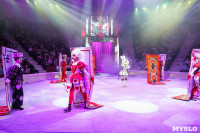Искусство иллюзии и вера в чудо: в Тульском цирке стартовала программа «Загадка старой игрушки», Фото: 13