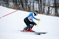 I-й этап Кубка Тулы по горным лыжам и сноуборду., Фото: 7