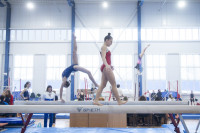 Всероссийские соревнования по спортивной гимнастике, Фото: 30