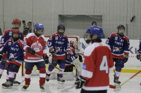 Международный детский хоккейный турнир. 15 мая 2014, Фото: 65