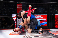 В «Тула-Арене» состоялись областные соревнования по ММА, Фото: 137