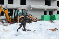 Отлов бездомных собак в Туле и области: «Континент+» рассказал об особенностях работы, Фото: 15