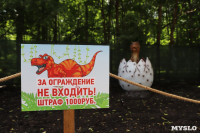 В Туле появился парк с интерактивными динозаврами, Фото: 18