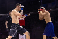 Битва за Тулу-2026, Фото: 138