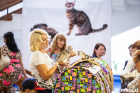 Выставка "Пряничные кошки". 15-16 августа 2015 года., Фото: 239