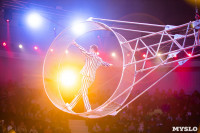 Звезды манежа в цирке, Фото: 206
