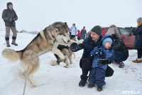Праздник северных собак на Куликовом поле , Фото: 17