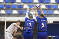 Белогорье - Динамо (Урал), Фото: 81